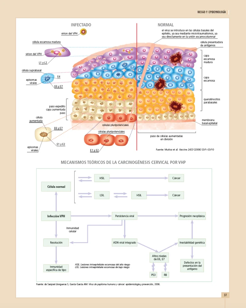atp0007e-3 atp0007e-3