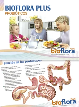 flp0046e-1