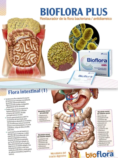 Bioflora Plus. Probióticos