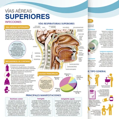 Vías aéreas Superiores. Infecciones