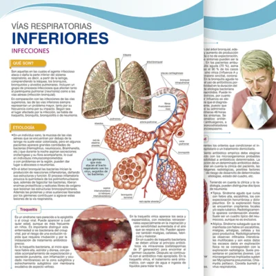 Vías aéreas Inferiores. Infecciones