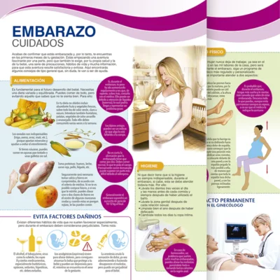 Embarazo. Cuidado