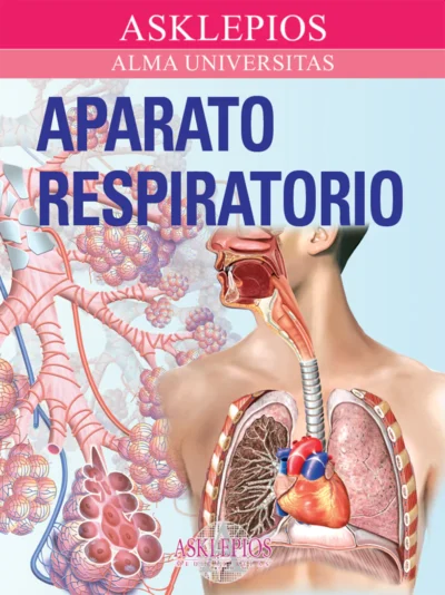 Aparato Respiratorio