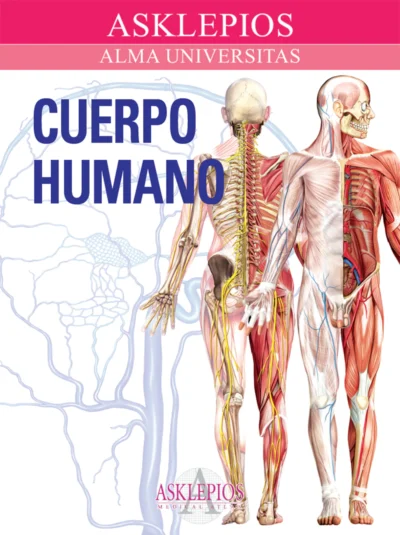 Cuerpo Humano
