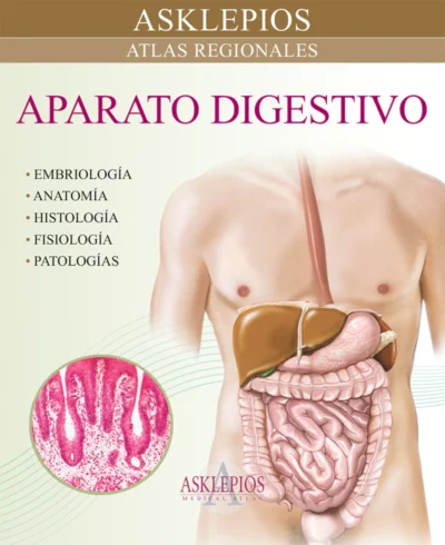 Aparato Digestivo