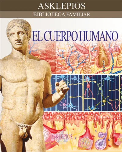 El Cuerpo Humano
